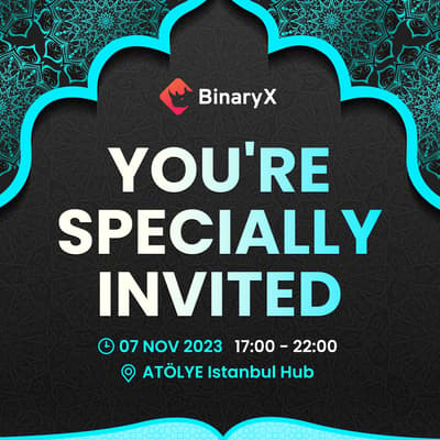 BinaryX.pro Logo